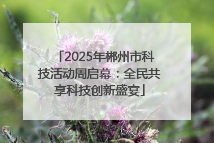 2025年郴州市科技活动周启幕：全民共享科技创新盛宴